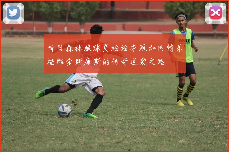 昔日森林狼球员纷纷夺冠加内特乐福维金斯唐斯的传奇逆袭之路